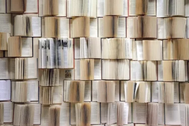 readingimage-squashed-squashed